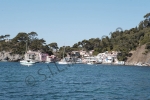 SECOURS_PLAGES31.jpg